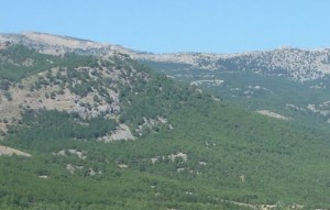 Parque Natural Sierra de Baza
